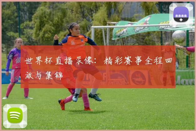 世界杯直播录像：精彩赛事全程回放与集锦