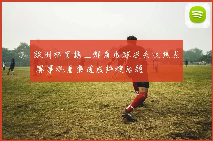 欧洲杯直播上哪看成球迷关注焦点 赛事观看渠道成热搜话题