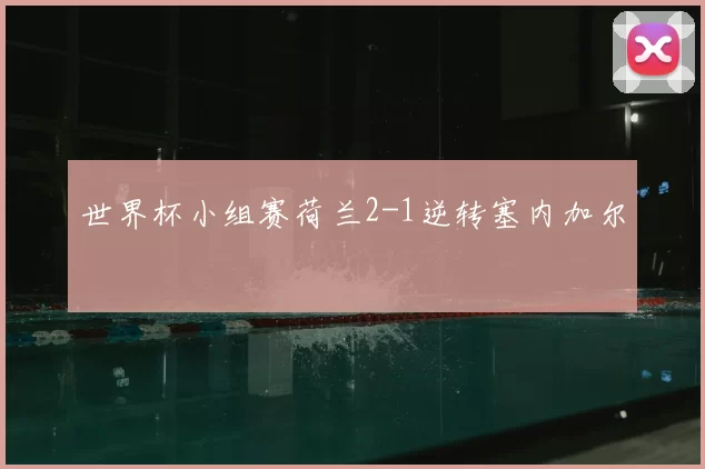 世界杯小组赛荷兰2-1逆转塞内加尔