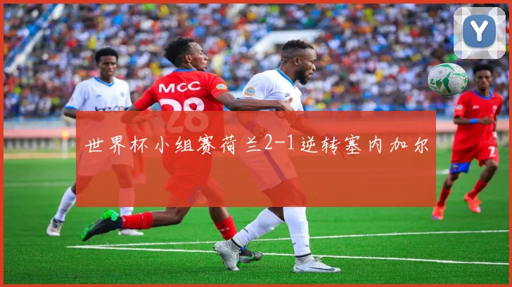 世界杯小组赛荷兰2-1逆转塞内加尔