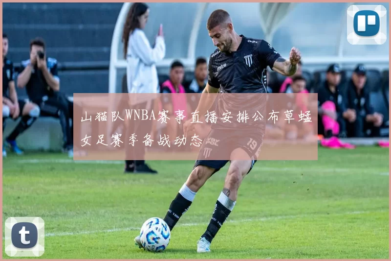 山猫队WNBA赛事直播安排公布草蜢女足赛季备战动态