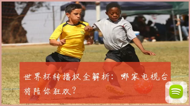 世界杯转播权全解析:哪家电视台将陪你狂欢?