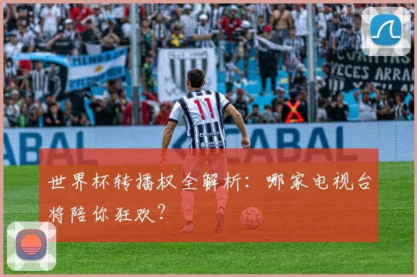 世界杯转播权全解析：哪家电视台将陪你狂欢？
