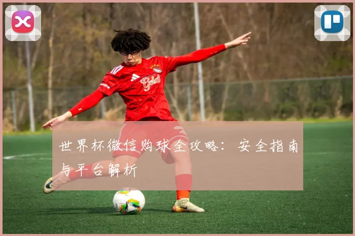 世界杯微信购球全攻略：安全指南与平台解析