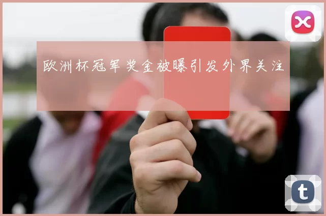 欧洲杯冠军奖金被曝引发外界关注