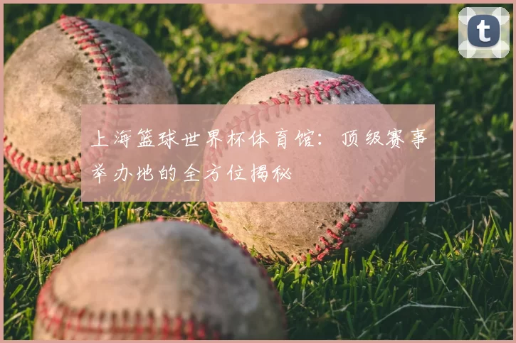 上海篮球世界杯体育馆：顶级赛事举办地的全方位揭秘