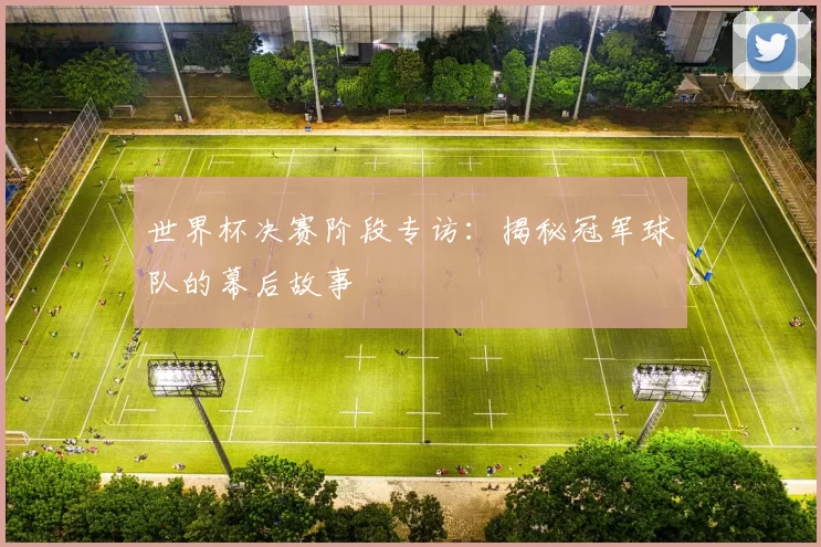 世界杯决赛阶段专访:揭秘冠军球队的幕后故事
