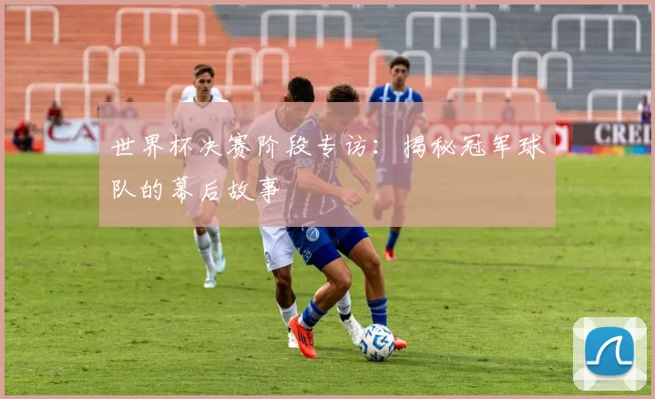 世界杯决赛阶段专访:揭秘冠军球队的幕后故事