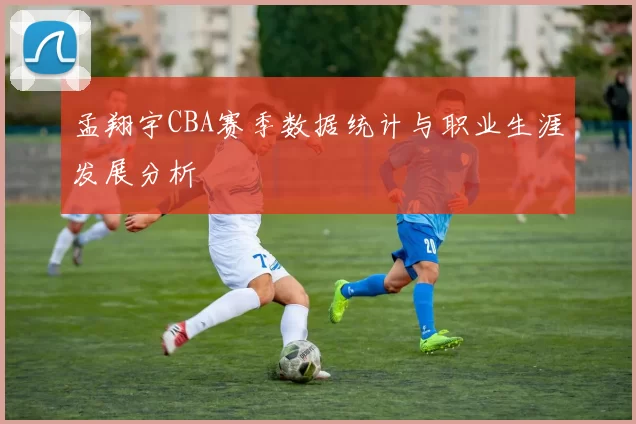 孟翔宇CBA赛季数据统计与职业生涯发展分析