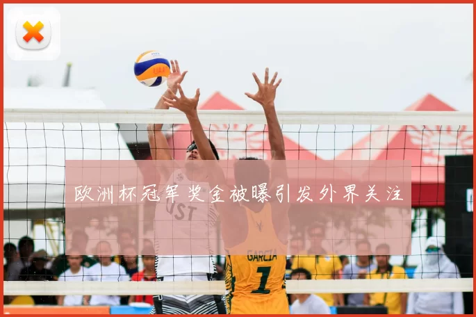 欧洲杯冠军奖金被曝引发外界关注