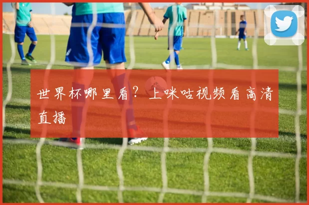 世界杯哪里看？上咪咕视频看高清直播