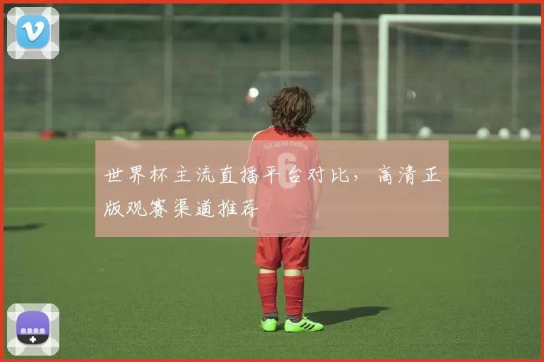 世界杯主流直播平台对比，高清正版观赛渠道推荐