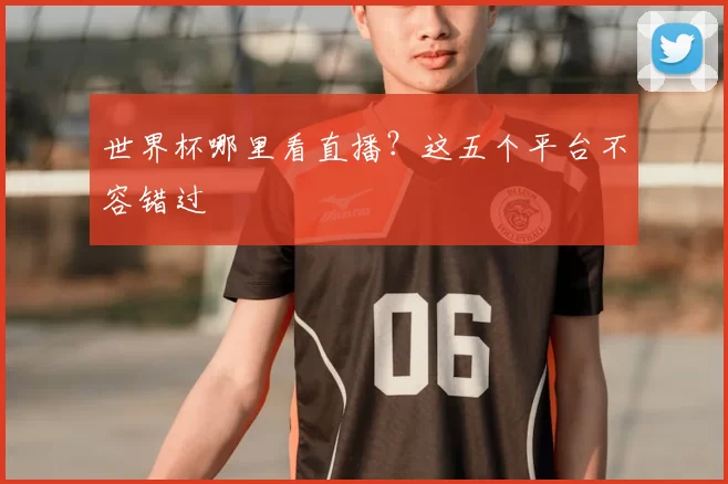 世界杯哪里看直播？这五个平台不容错过
