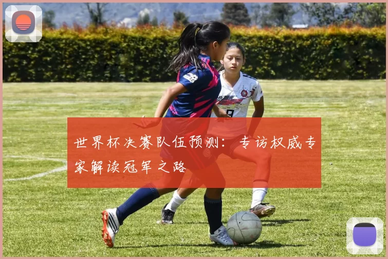 世界杯决赛队伍预测：专访权威专家解读冠军之路